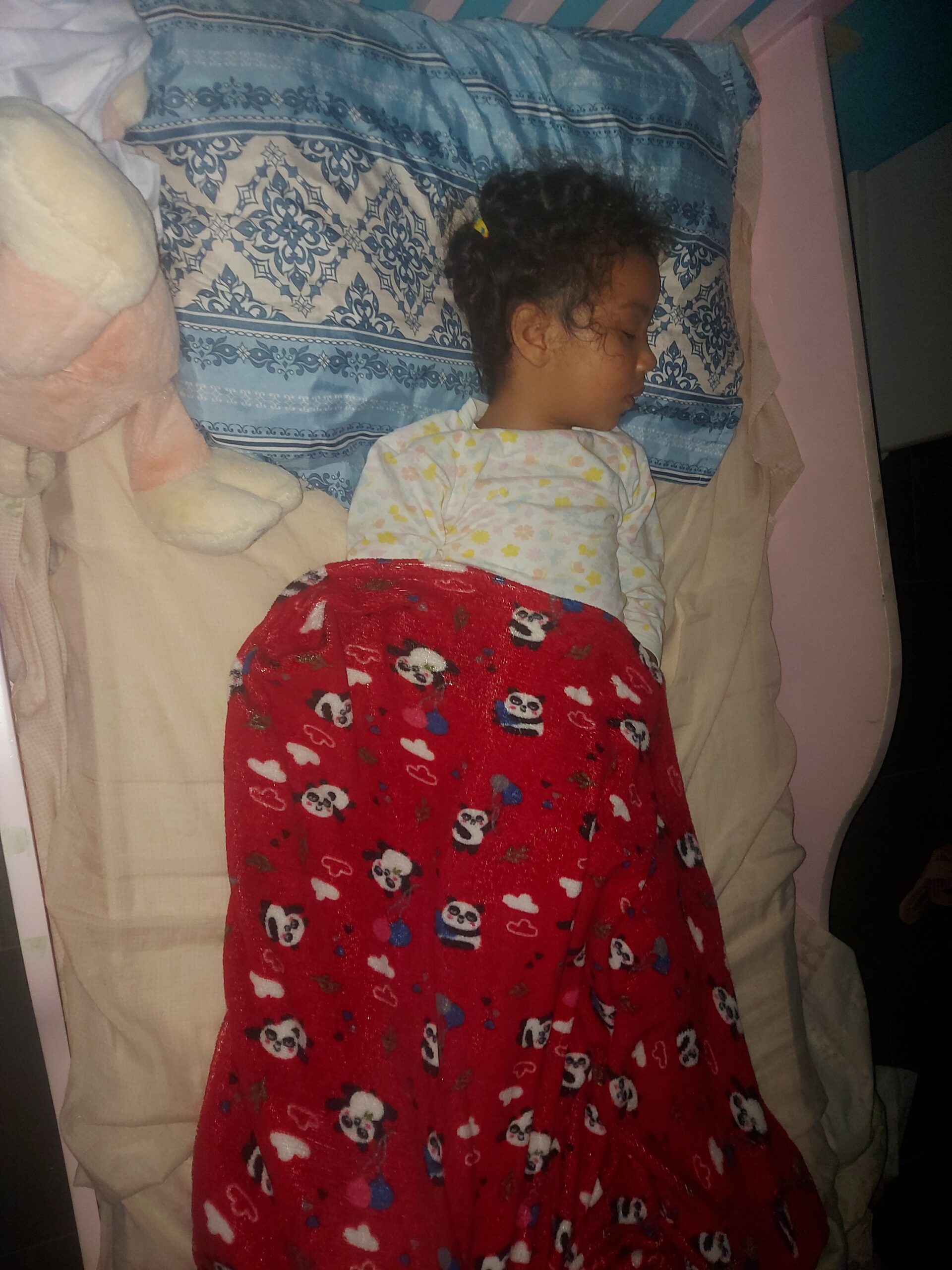 Laura dormindo segura